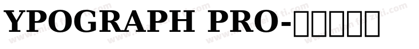 YPOGRAPH PRO字体转换